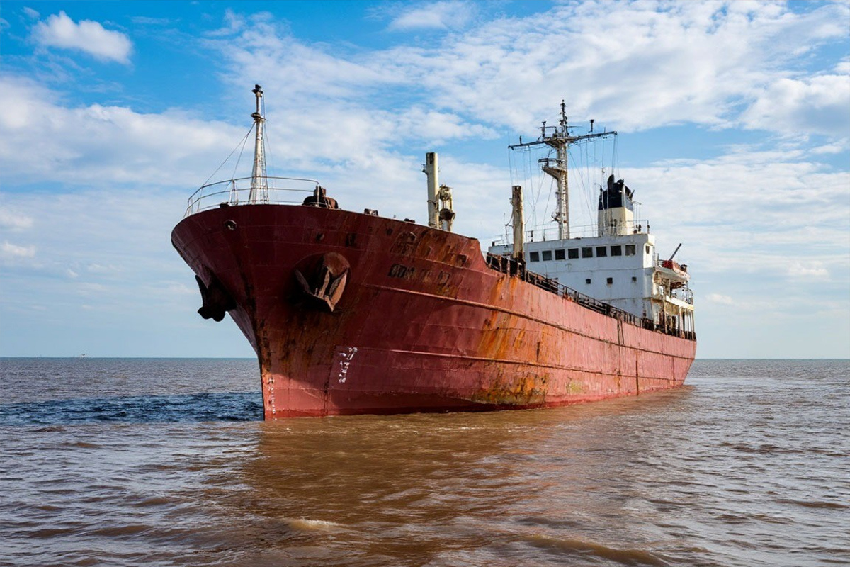    Фото: коллаж RuNews24.ru