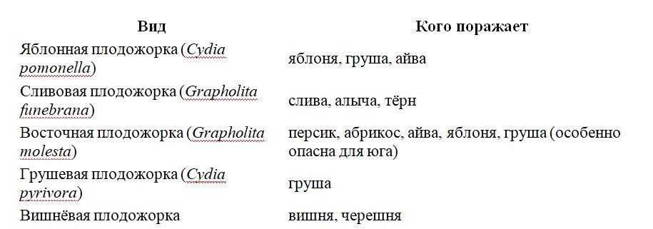 Таблица и фото Натальи Мироновой