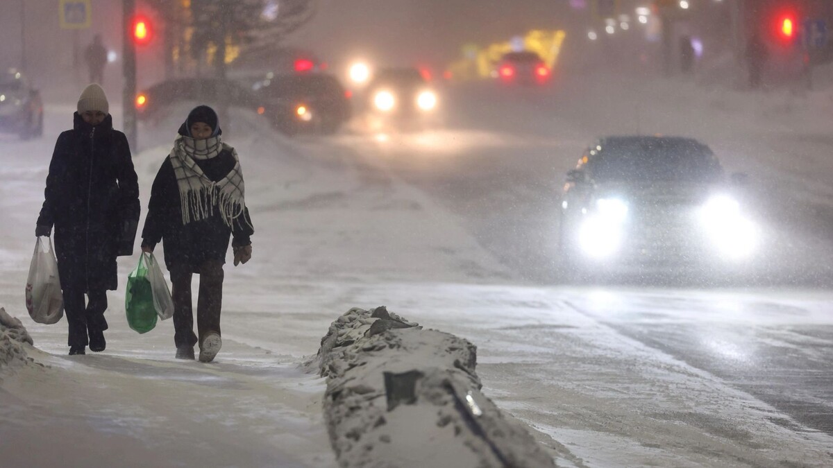    Фото: Андрей Ткачев / «Ямал-Медиа»