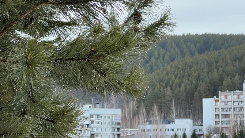     Белокуриха Altapress.ru