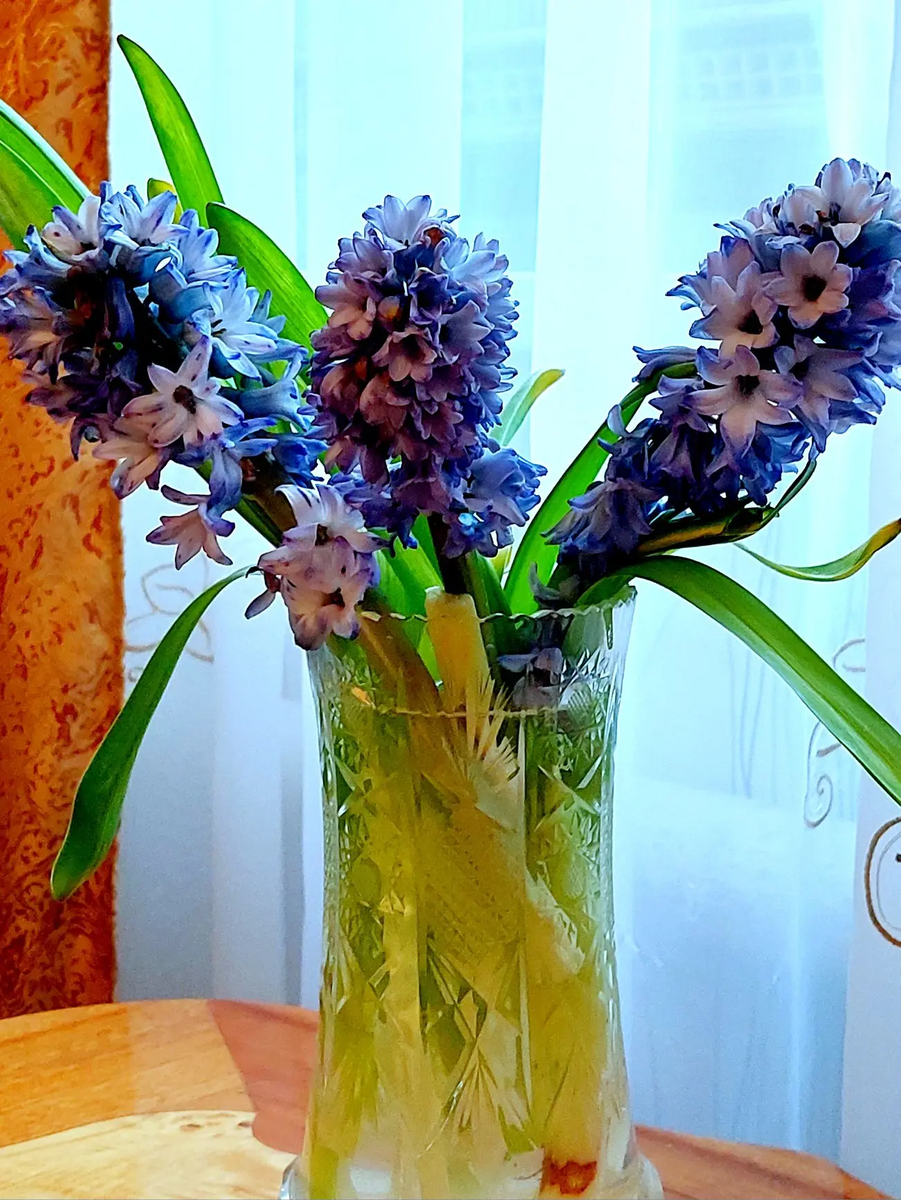 Утро. Фото автора канала