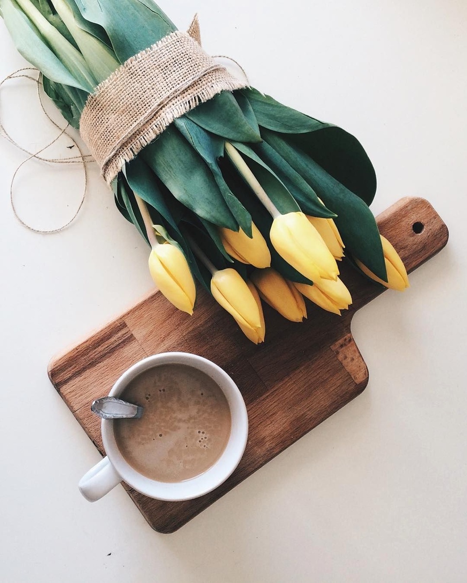 1. Тюльпаны и кофе. Иллюстрации из открытых источников.