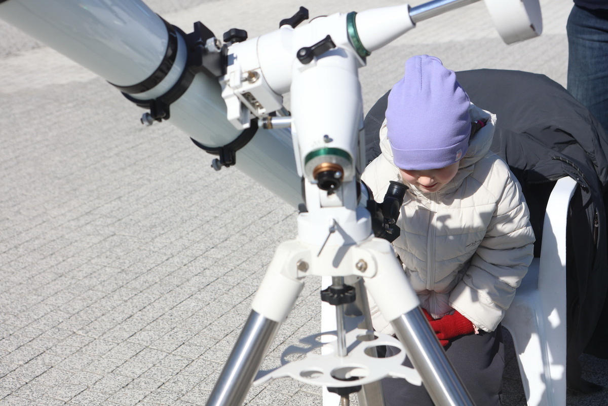    Фото: Павел Комаров, nsknews.info