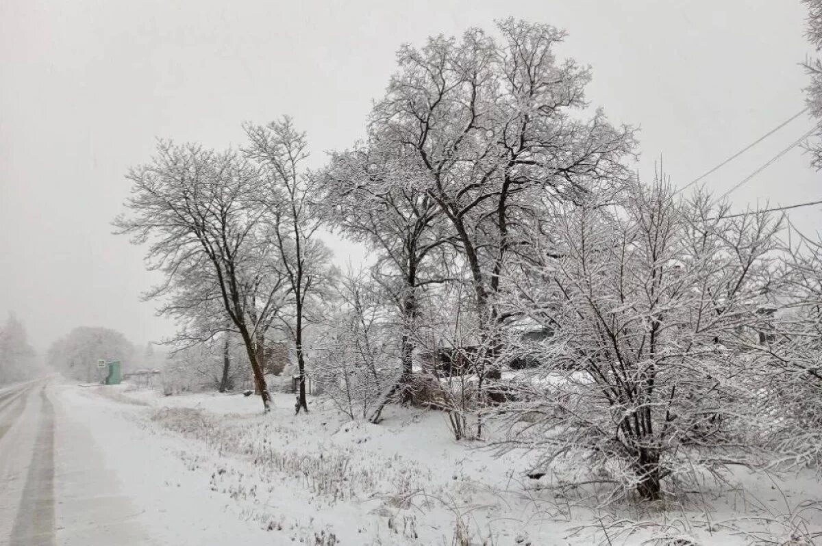    Зима вернулась на север Приморья, а на юге прошёл дождь