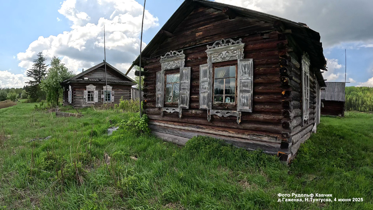 Два дома ещё сохранились, окна целы. Мы не стали нарушать их покой, пожелав ещё сотню лет простоять. д.Гаженка, 4 июня 2025. Фото автора.   