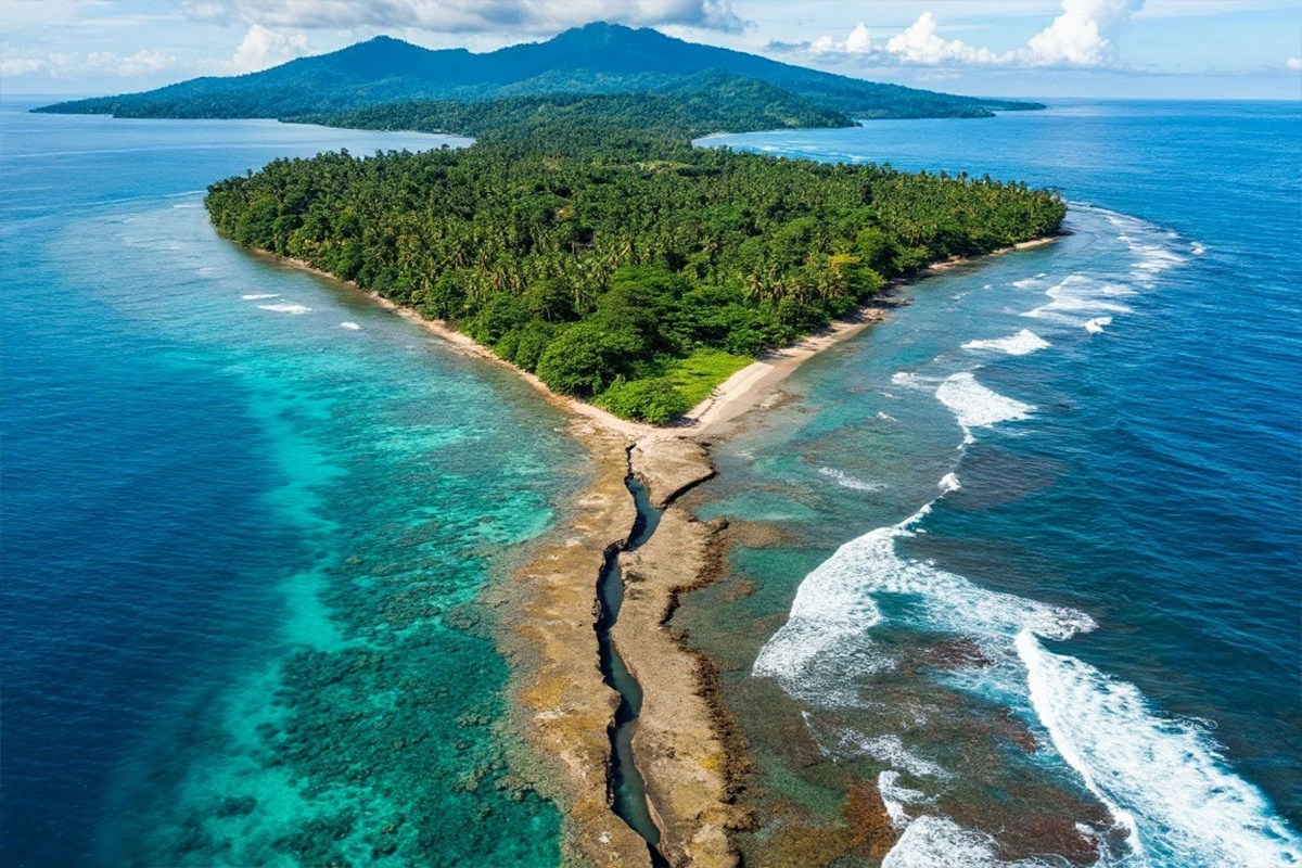    Фото: коллаж RuNews24.ru