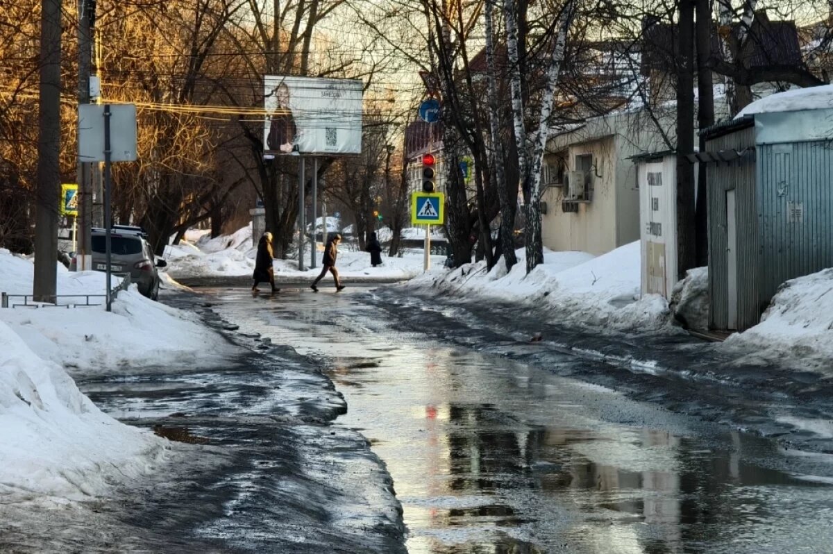    До 11 градусов тепла и небольшой дождь ожидаются в Томске в понедельник