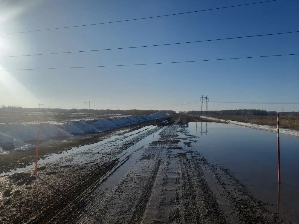    Фото: ТУАД НСО