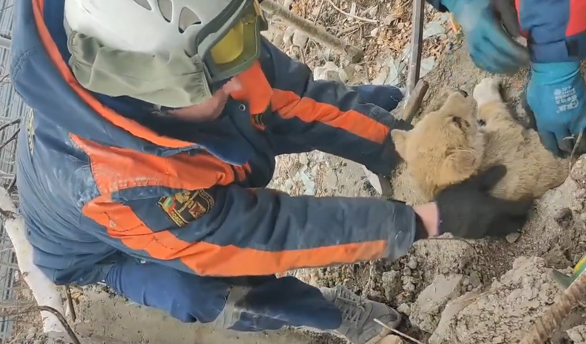 Спасатели "Забайкалпожспас" вызволили застрявшего в плите щенка в Чите
