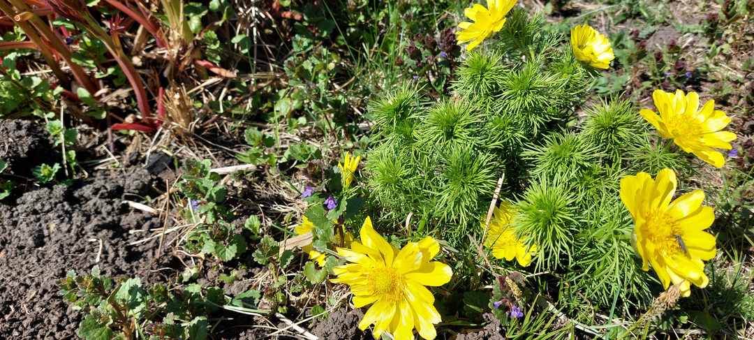 Весной и активность вроде бы вкючается дополнительная, но и усталость появляется тягучая