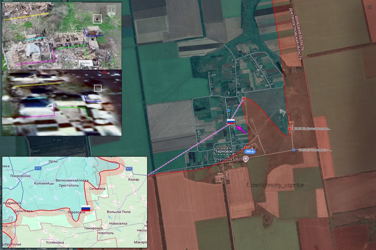 Источник: t.me/creamy_caprice 