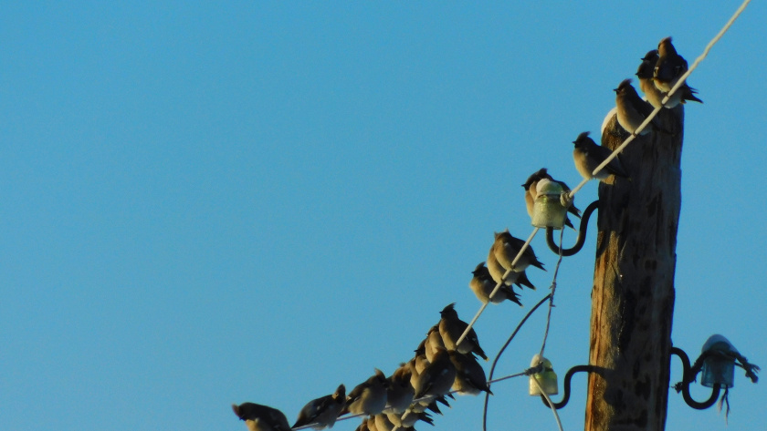    Вячеслав Вольгин