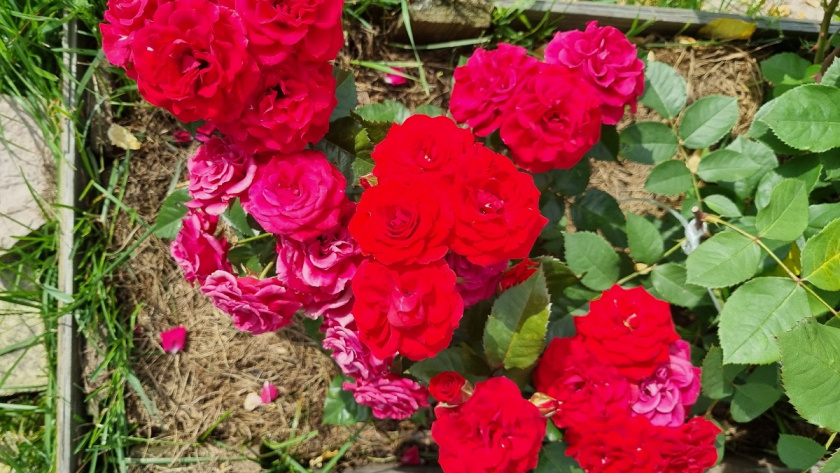    Фото Анастасии Дмитриевой