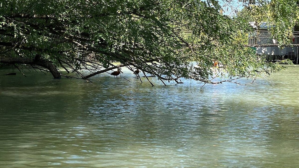    Фото: телеканал «Краснодар»