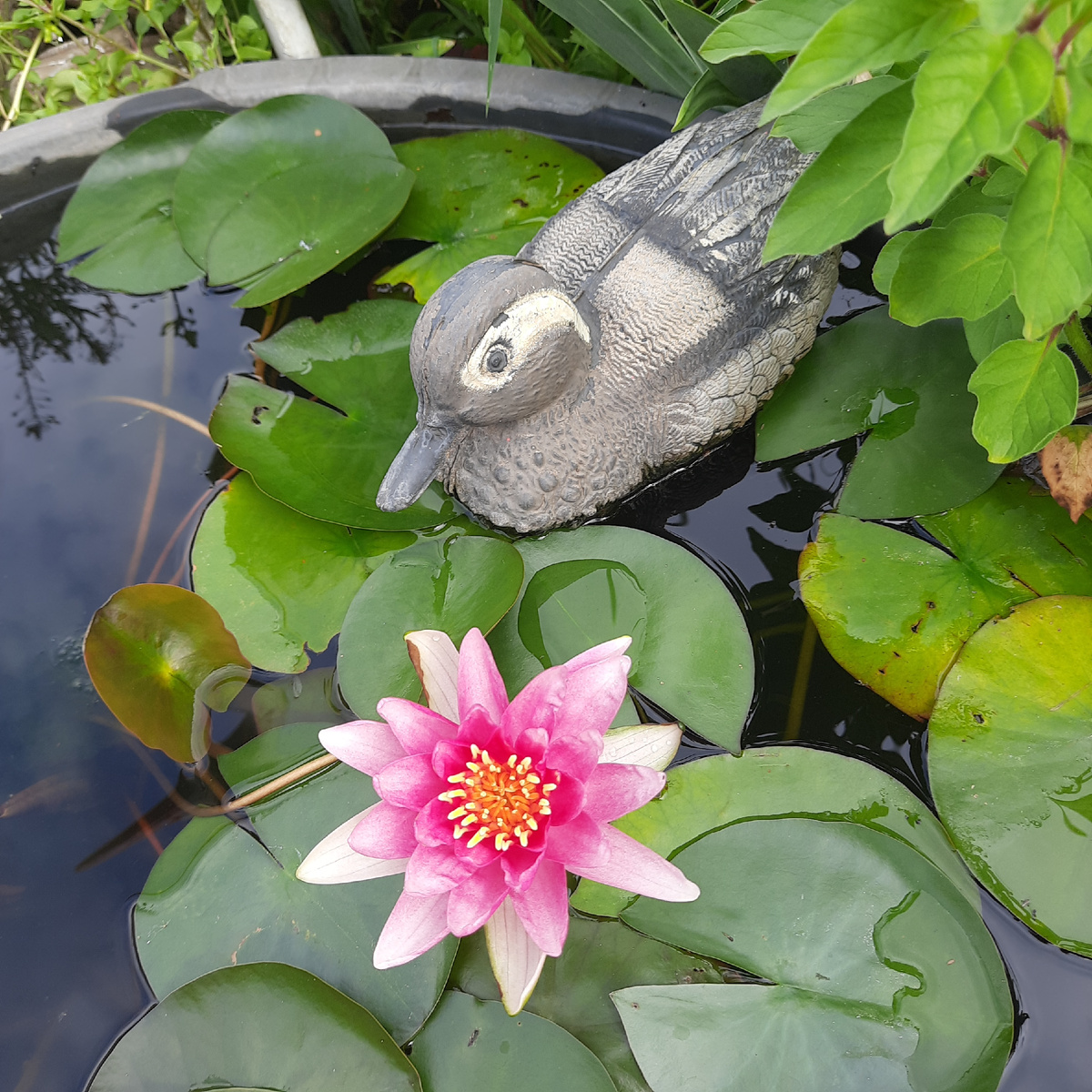 Фото из моего архива " болотце"