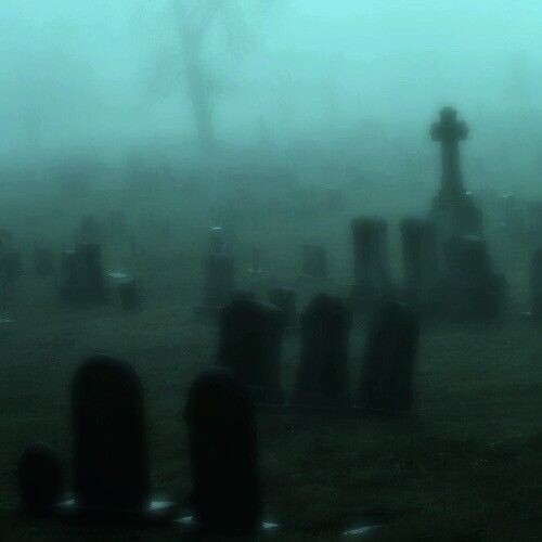 Изображение взято из открытых источников интернета. 