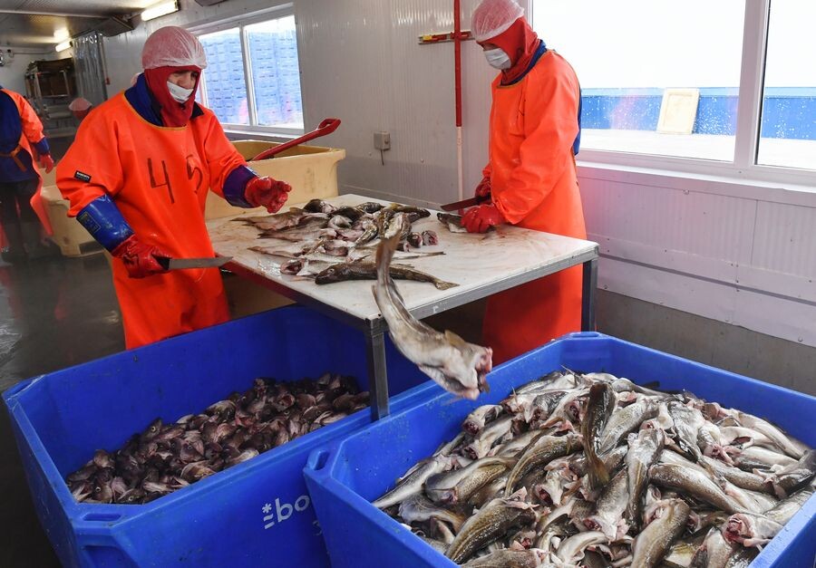     / Источник: © Лев Федосеев/ТАСС