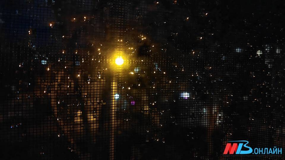    Фото: МТВ.ОНЛАЙН / Елизавета Денисова