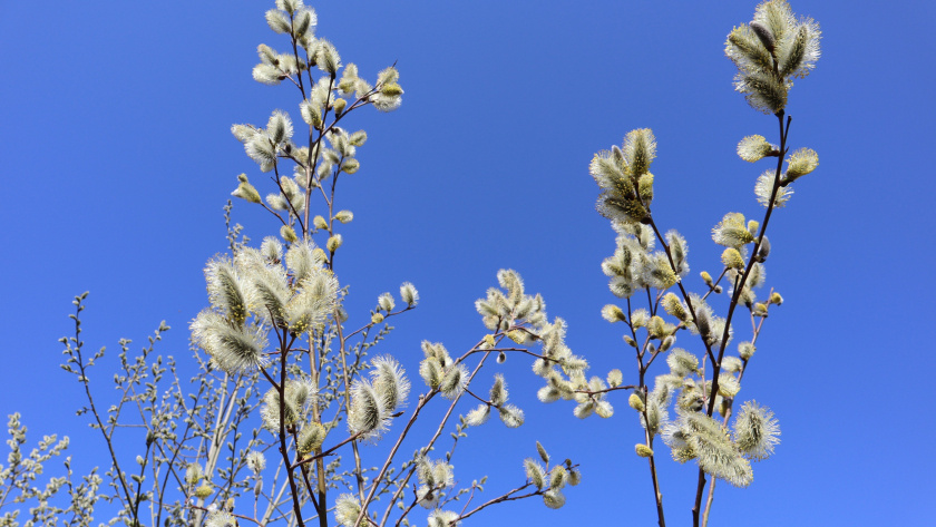    Фото: архив редакции