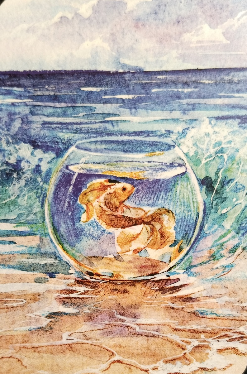 Карта из колоды МАК Рефлексия 