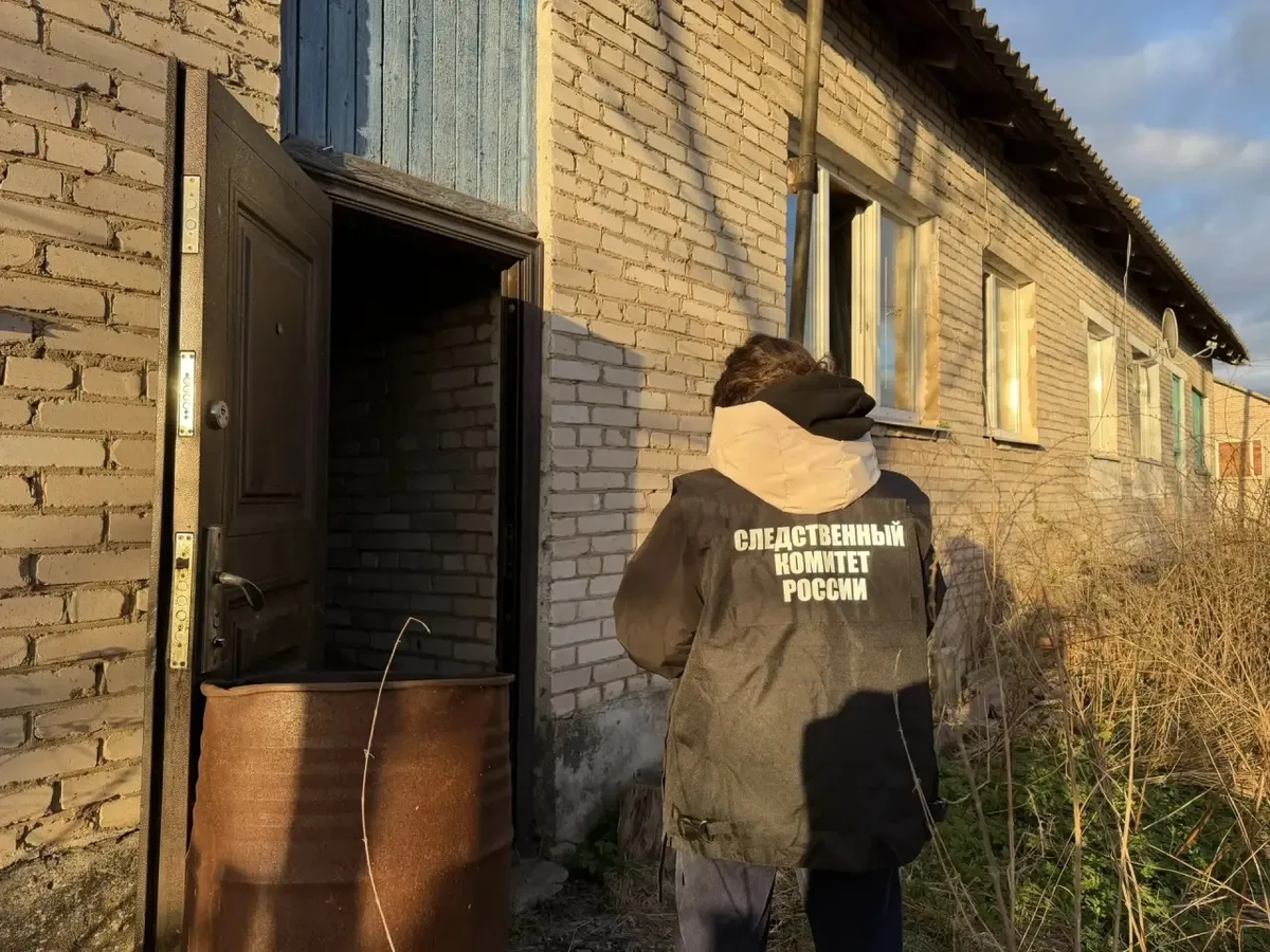    Соцсети / СУ СК России по Новгородской области