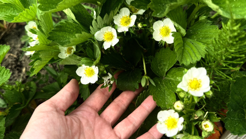    Фото из архива редакции