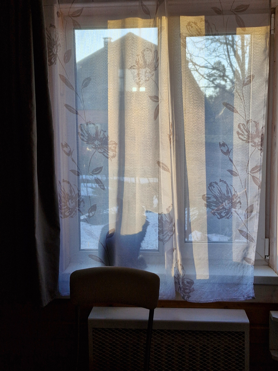 Фрося на окне