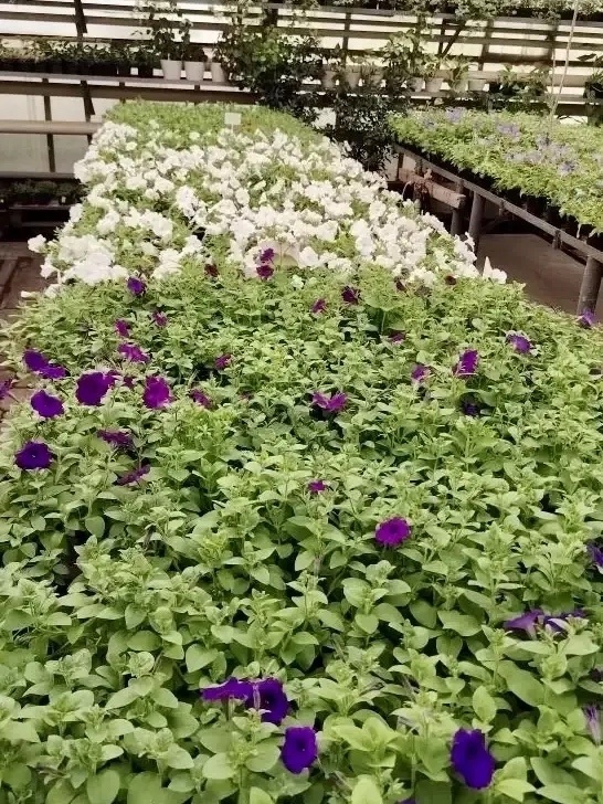 Фото: соцсети мэра Омска Сергея Шелеста