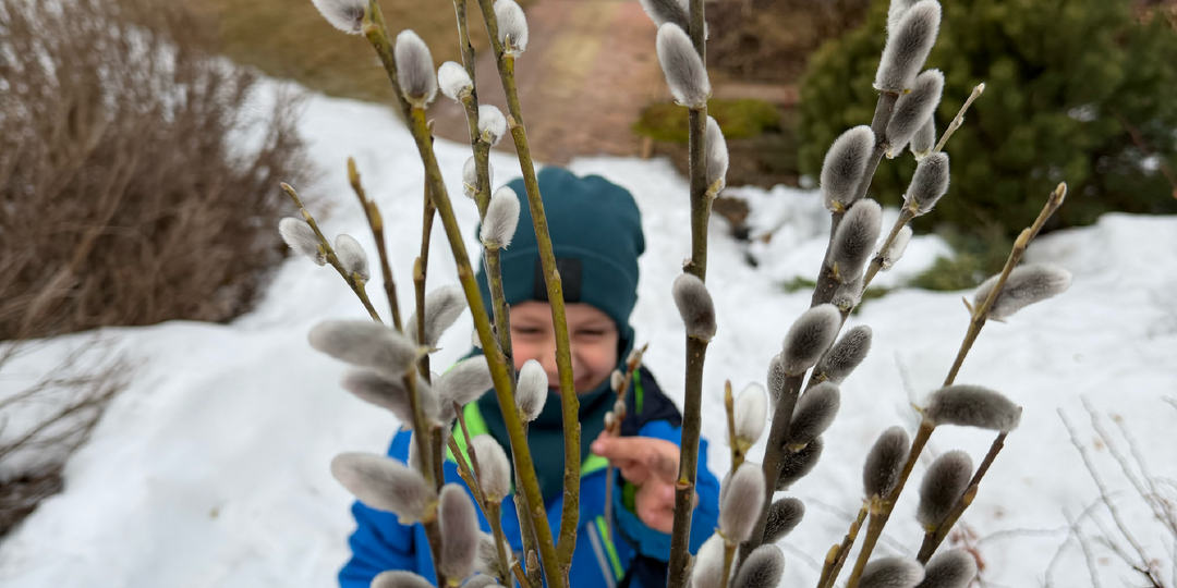 Приехала на дачу сезон открыть. Какое там! Первые "потери" зимы