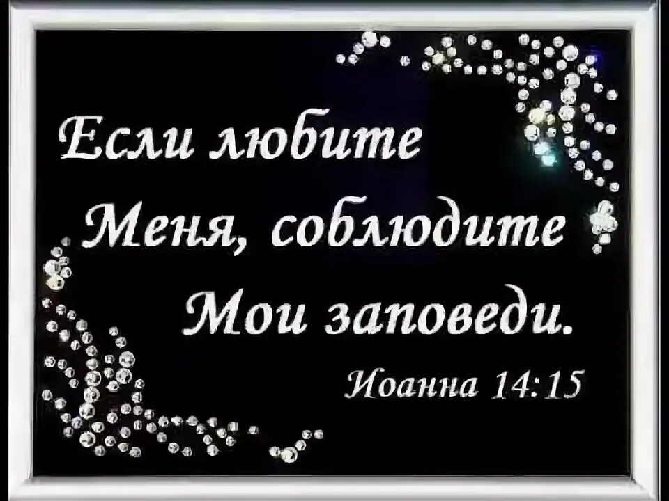 Из открытых источников Яндекса.