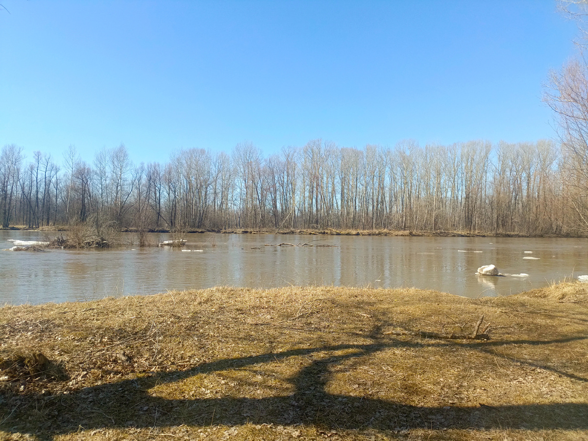 На Чарыше лед пронесло.