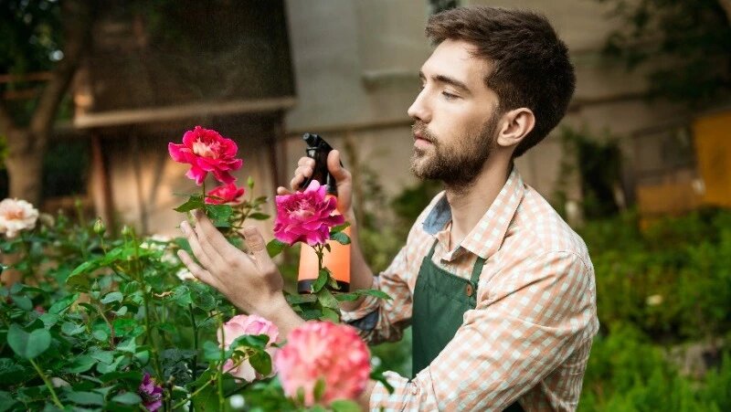      Фото: @cookie-studio / ru.freepik.com