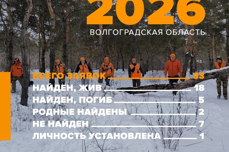    Фото предоставлено поисковым отрядом "ЛизаАлерт"