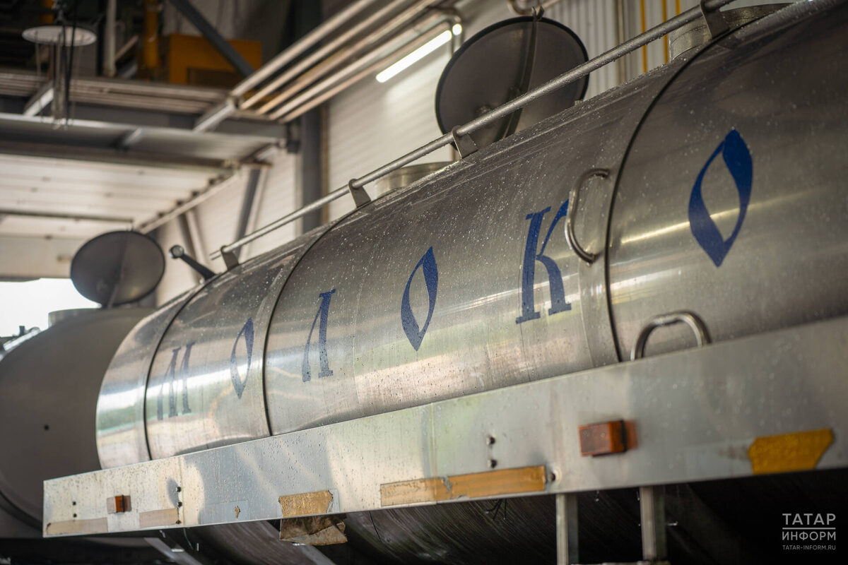 По итогам 2025 года в республике произведено 2,37 млн тонн молокаФото: © Владимир Васильев / «Татар-информ»