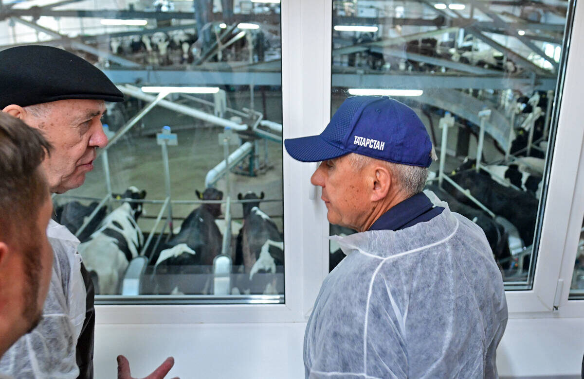 Молочное животноводство было и останется для Татарстана стратегическим направлениемФото: © пресс-служба Раиса РТ