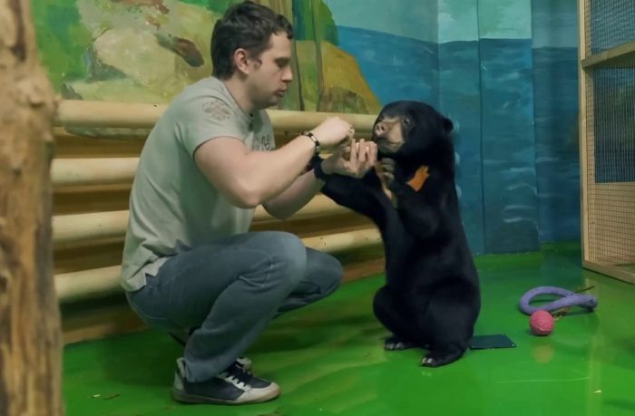 Кадр из видео Новосибирского зоопарка.