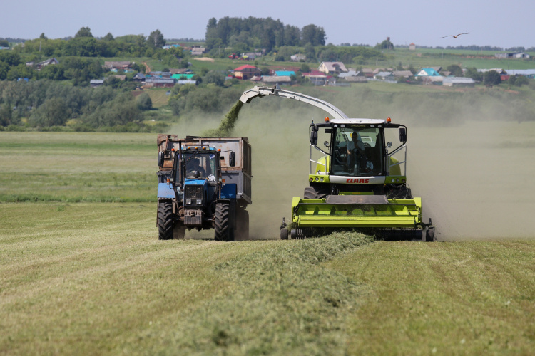    «Сегодня в России продается машин для сельского хозяйства в 2,5 раза меньше, чем продавалось в непростом 2023 году. И текущий год начался тоже с проблем — продажи на треть меньше, чем за аналогичный период 2025-го».   
Фото: «БИЗНЕС Online»