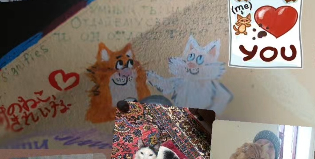 1231-1237 это не годы..это коты , уехавшие в счастливую жизнь