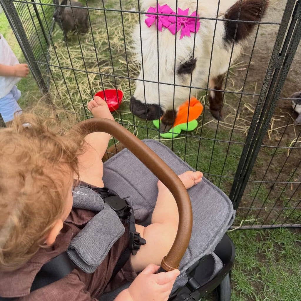    Источник: Социальные сети  | Тиффани Трамп показала редкие фото сына в его первую Пасху