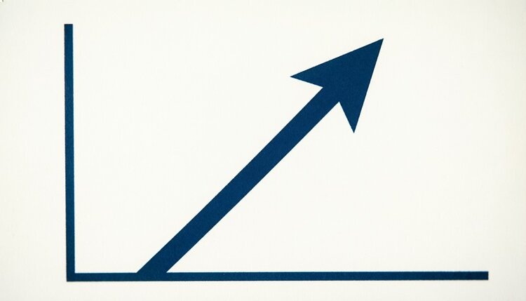    Фото: Медведева Анна, AgroXXI.ru