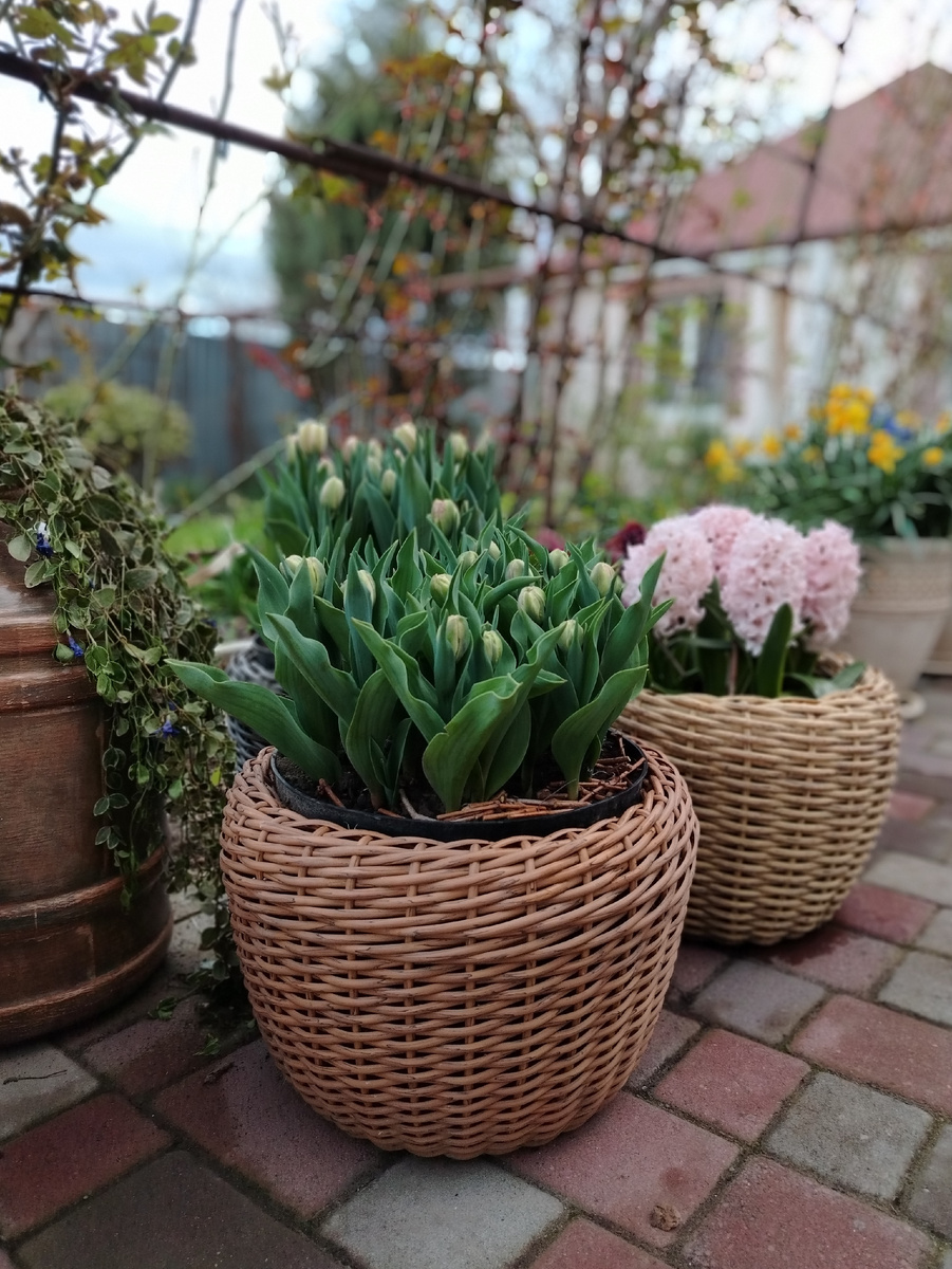 Предвкушение. 