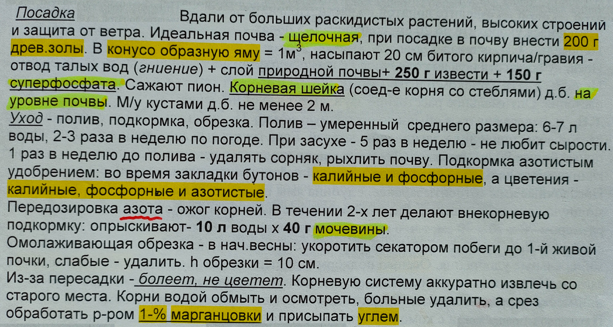 06.04.26 Шпаргалка