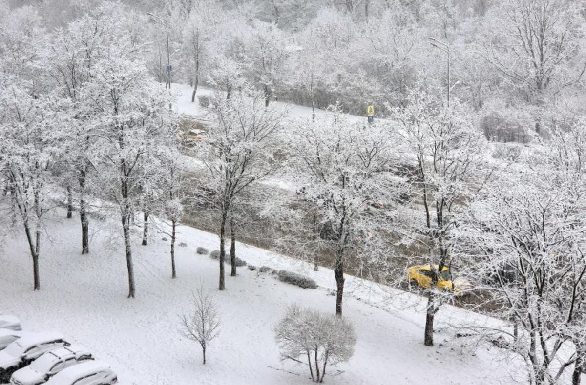 Фото из открытых источников 