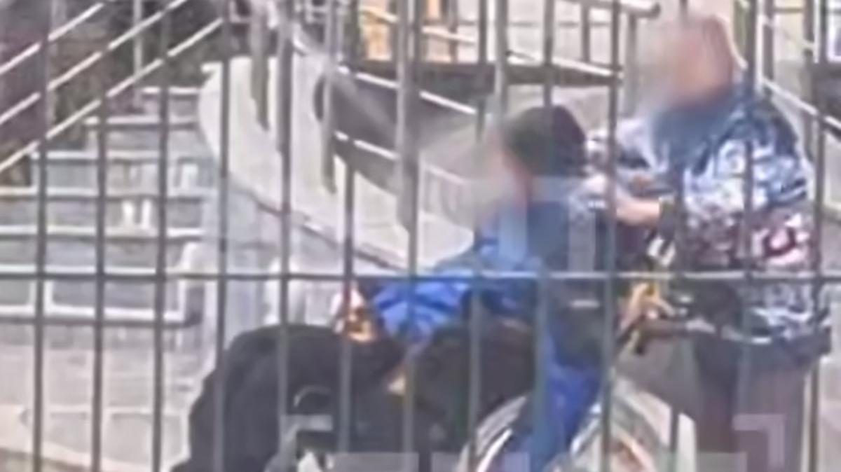    Фото: Скриншот видео / Shot/Telegram