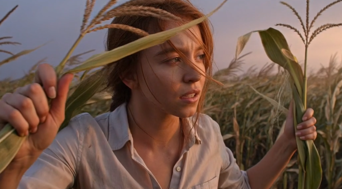 Кадр из видео doganuraldesign  📷
