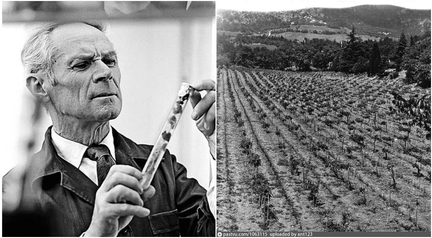 Павел Голодрига