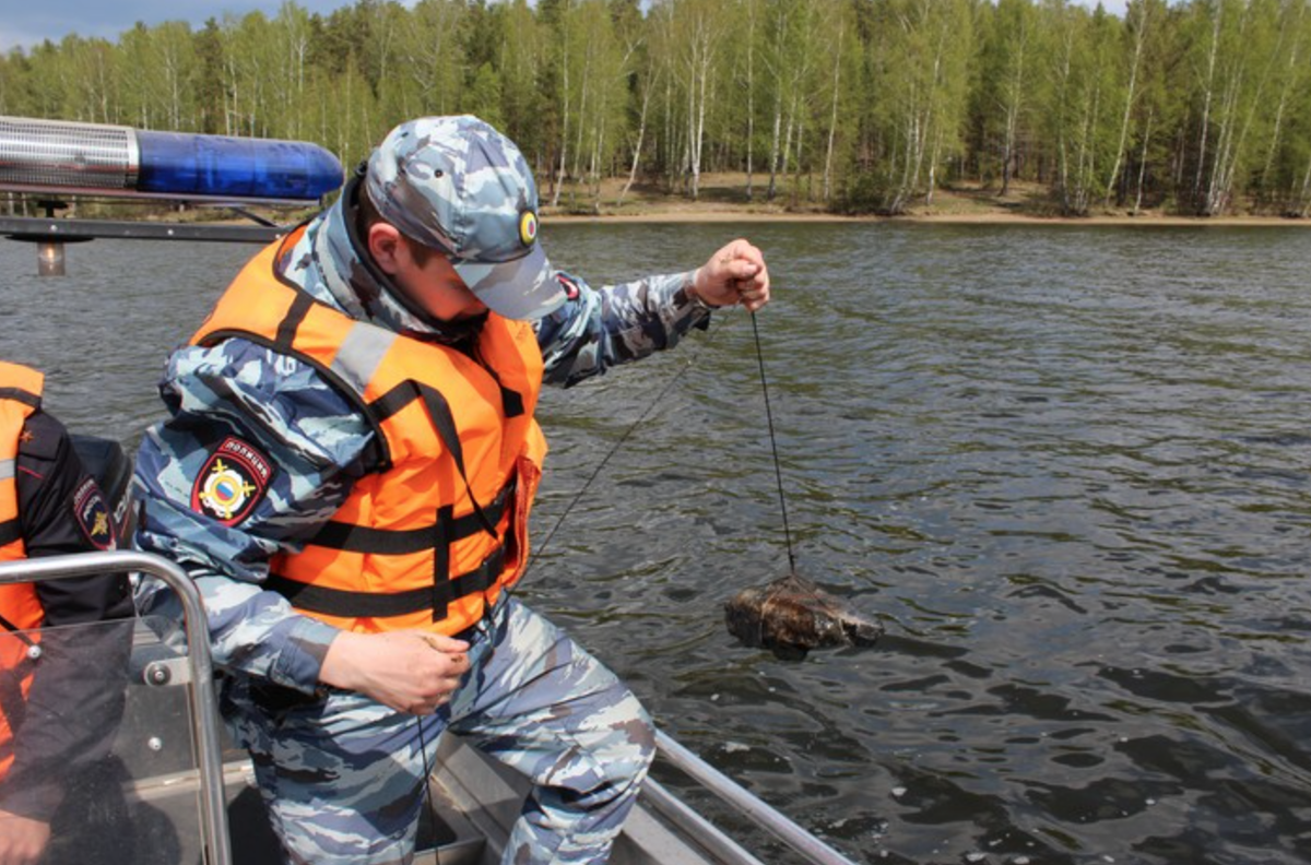 Фото из открытых источников 