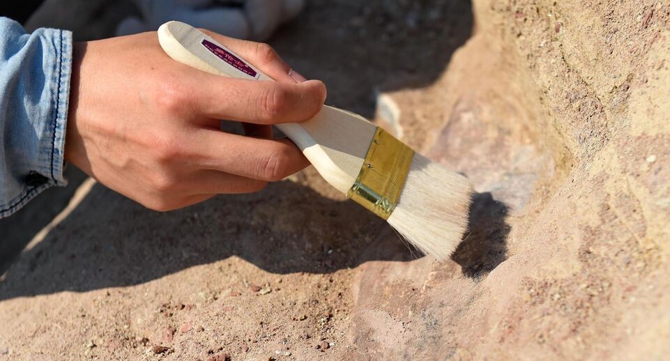    Zhang Nan/Xinhua / www.globallookpress.com