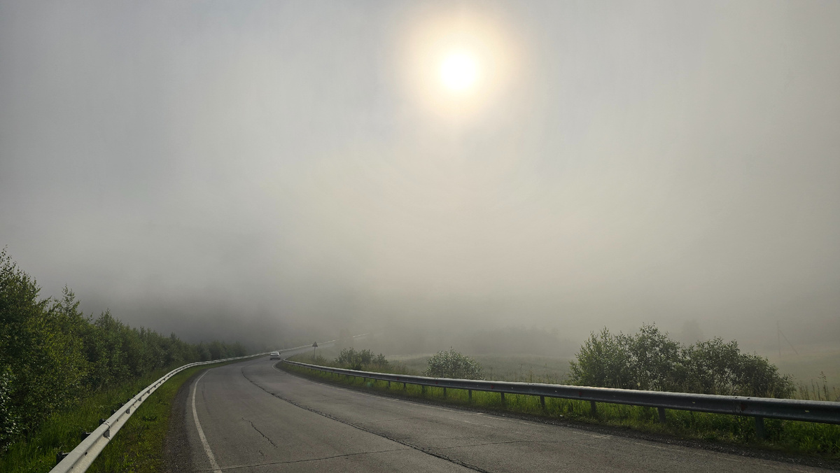 Туманное утро