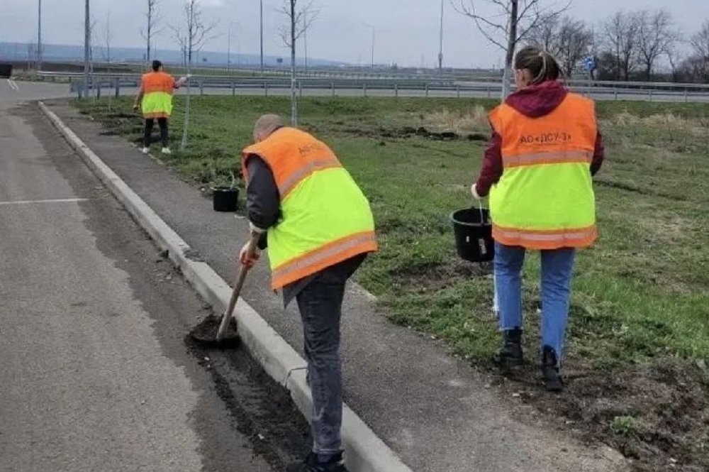 Фото: Пресс-служба мэрии Майкопа